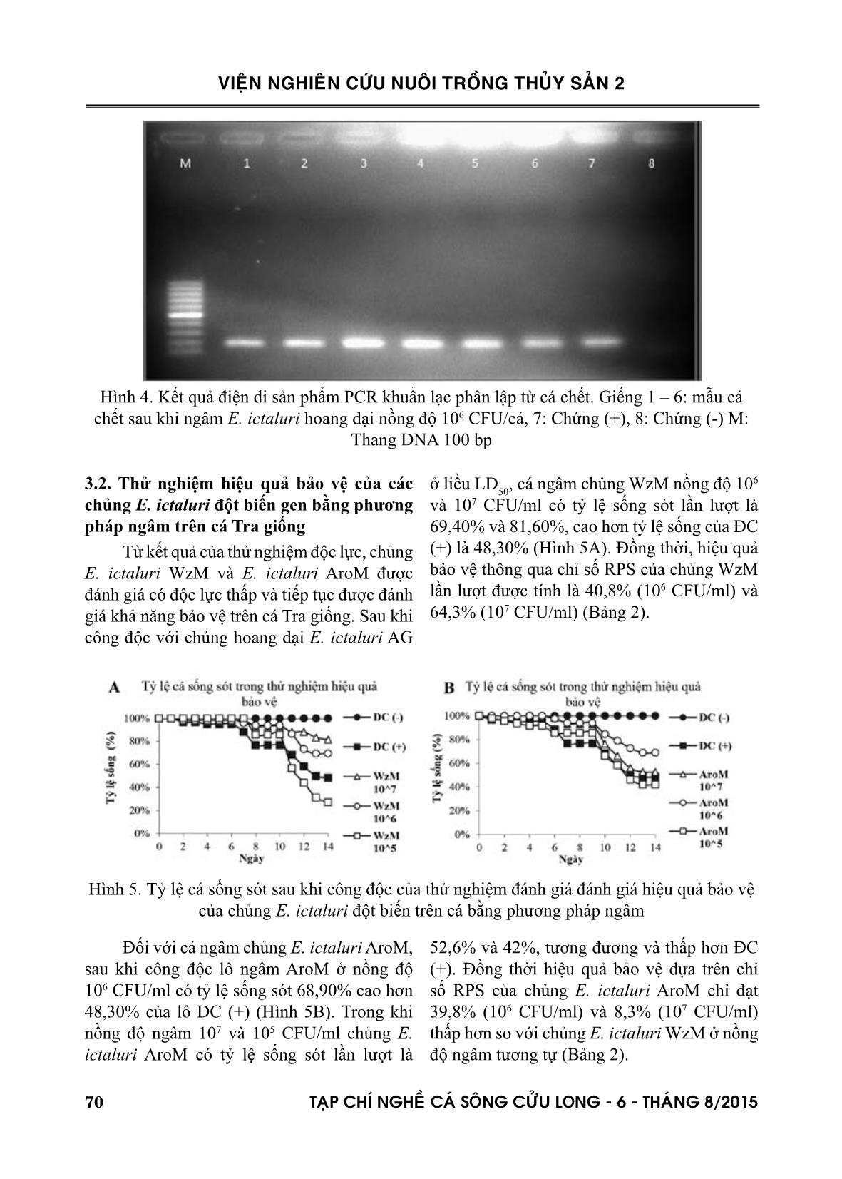 Tiềm năng và hạn chế của vaccine sống nhược độc kháng bệnh do edwardsiella ictaluri gây ra trên cá tra (pangasianodon hypophthalmus) trang 6