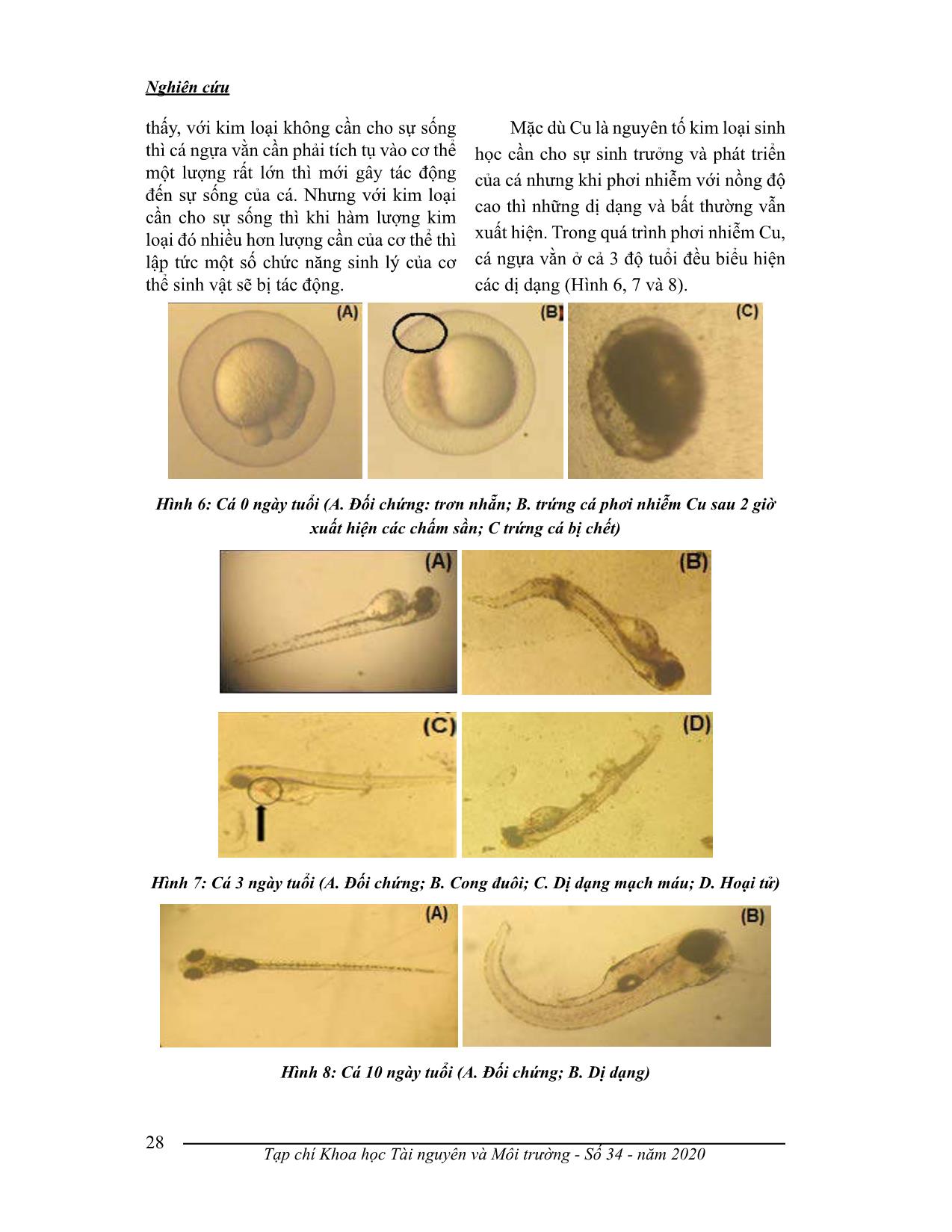 Xác định giá trị LC50 đòng đối với cá ngựa vằn (danio rerio) ở giai đoạn phôi và ấu trùng trang 5