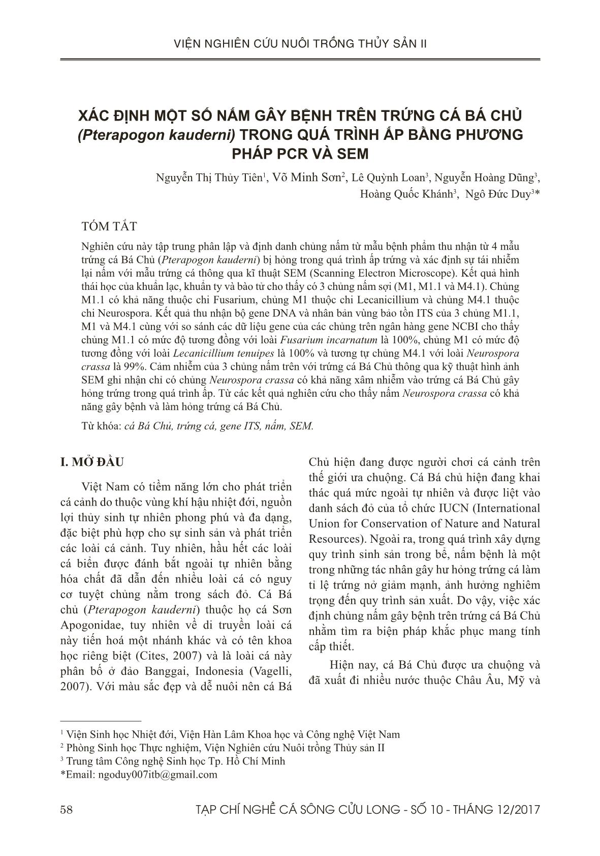 Xác định một số nấm gây bệnh trên trứng cá bá chủ (pterapogon kauderni) trong quá trình ấp bằng phương pháp pcr và sem trang 1