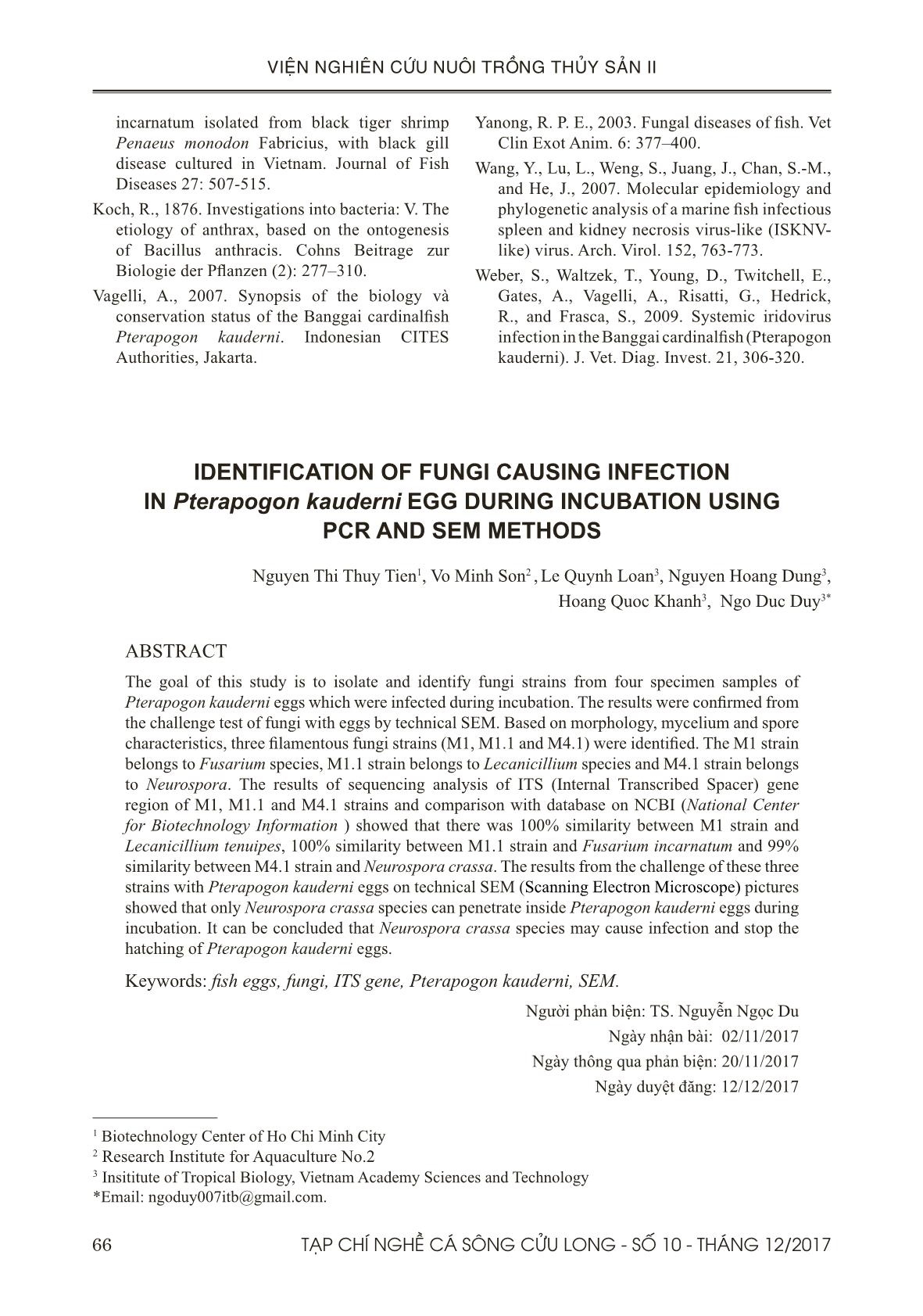 Xác định một số nấm gây bệnh trên trứng cá bá chủ (pterapogon kauderni) trong quá trình ấp bằng phương pháp pcr và sem trang 9