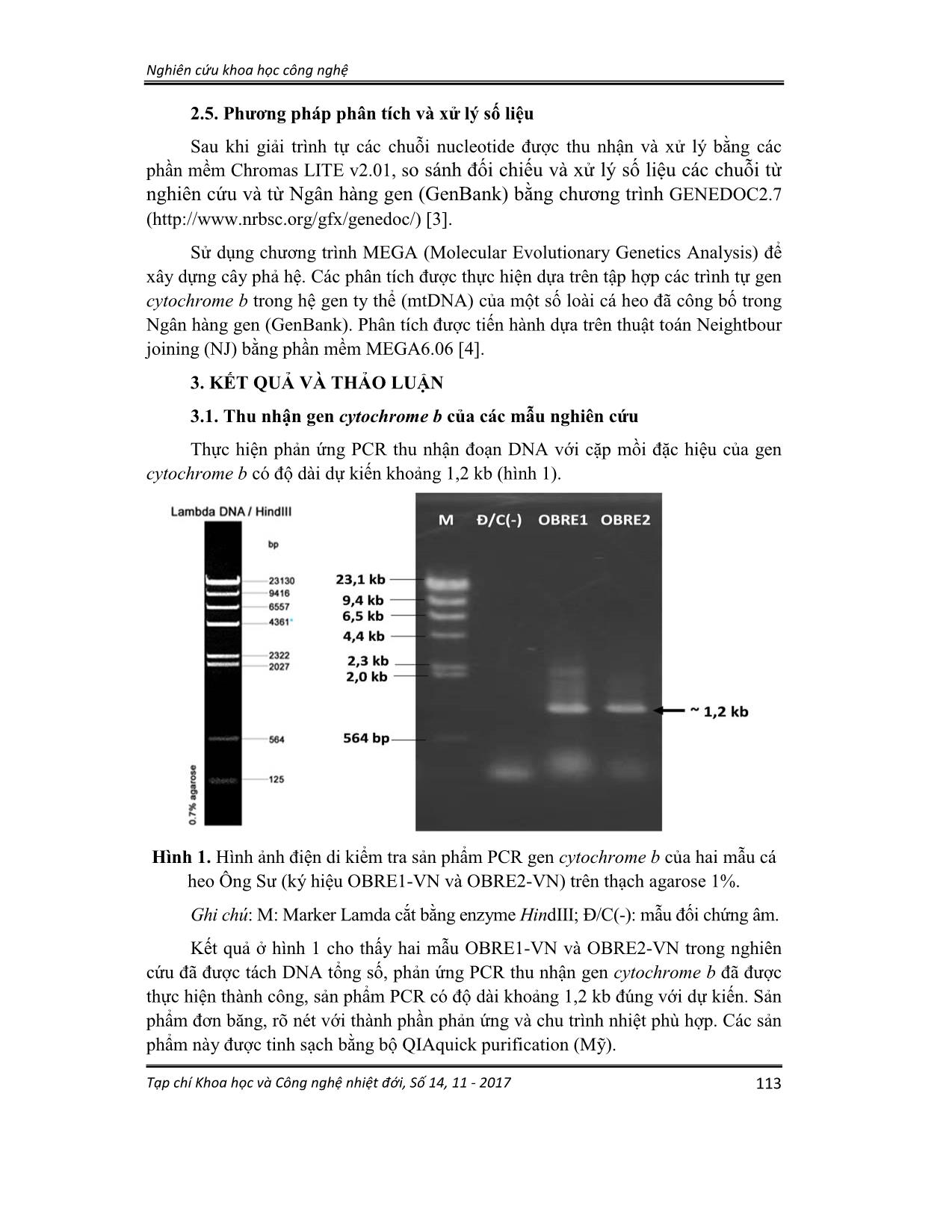Xác định trình tự gen mã hóa cytochrome B của hệ gen TY thể và mối quan hệ di truyền của loài cá heo ông sư (orcaella brevirostris gray, 1866) vùng biển Kiên giang, Việt Nam trang 3