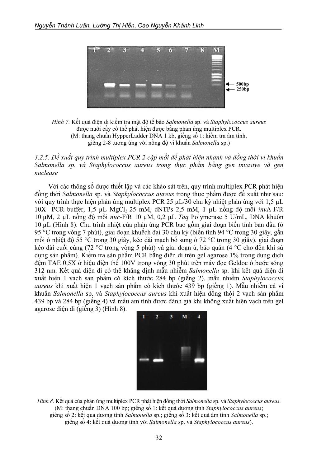 Nghiên cứu và ứng dụng kỹ thuật Multiplex PCR trong phát hiện vi khuẩn Salmonella sp. và Staphylococcus aureus gây ngộ độc thực phẩm trang 10