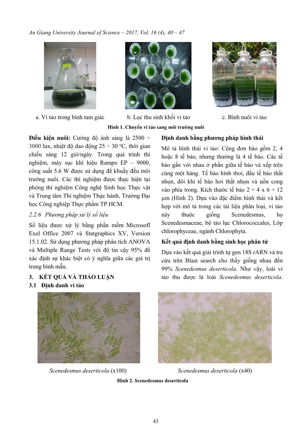 Ảnh hưởng của sự thiếu Nitơ, Phospho lên quá trình tích lũy dầu của vi tảo Scenedesmus Deserticola trang 4