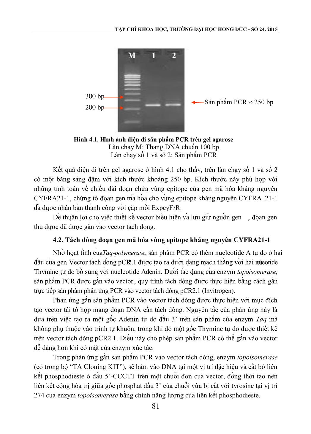 Kết quả nhân bản và xác định trình tự đoạn Epitope của gen mã hóa kháng nguyên Cyfra21-1 trang 5