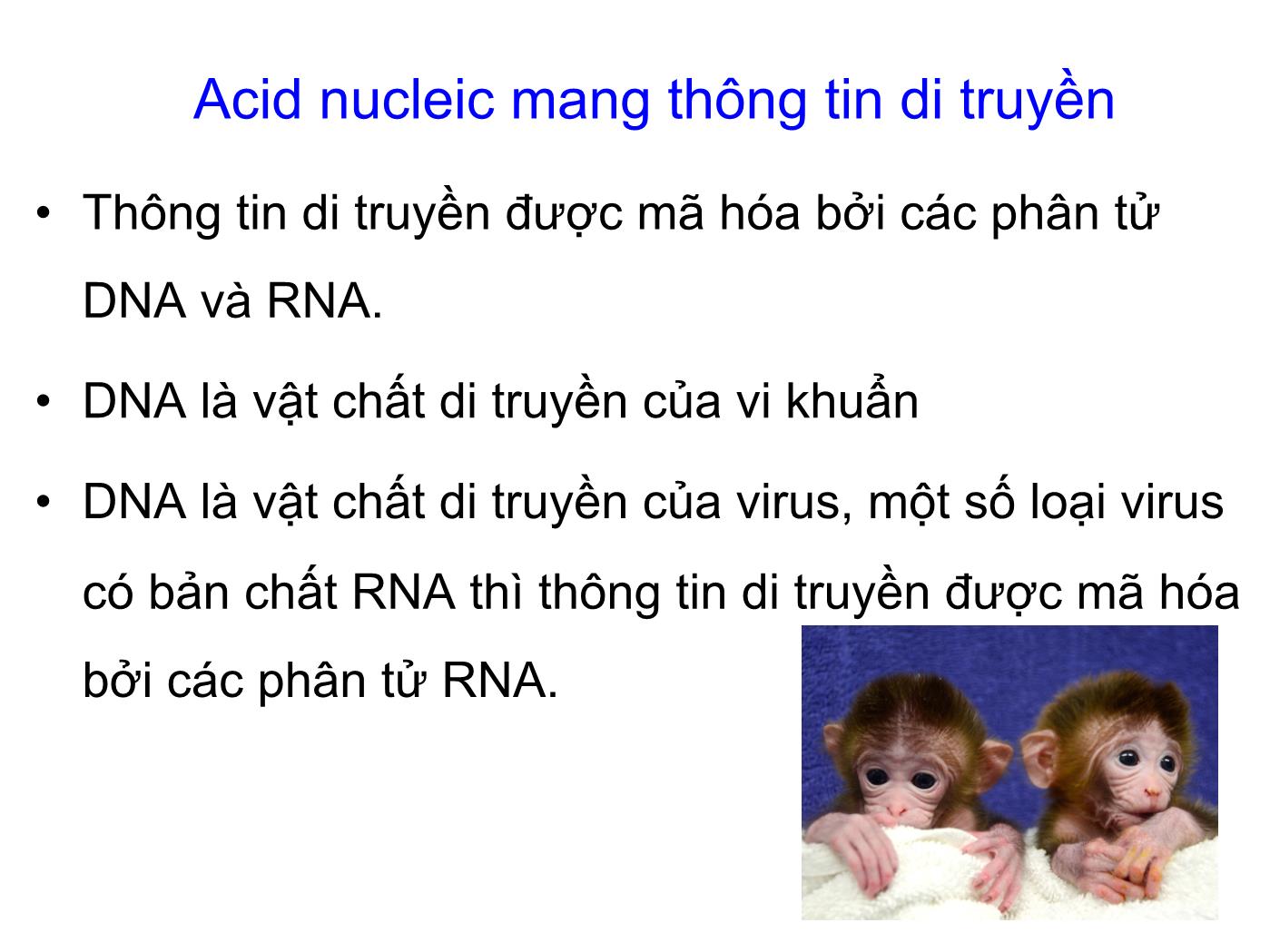 Bài giảng Sinh học phân tử - Chương 2: Các đại phân tử sinh học Acid nucleic và Protein trang 3