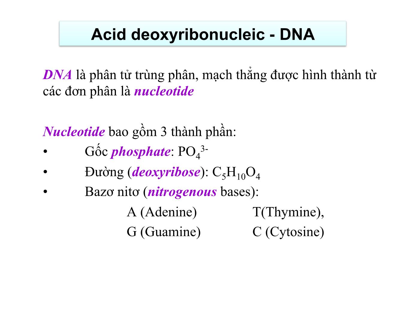 Bài giảng Sinh học phân tử - Chương 2: Các đại phân tử sinh học Acid nucleic và Protein trang 7