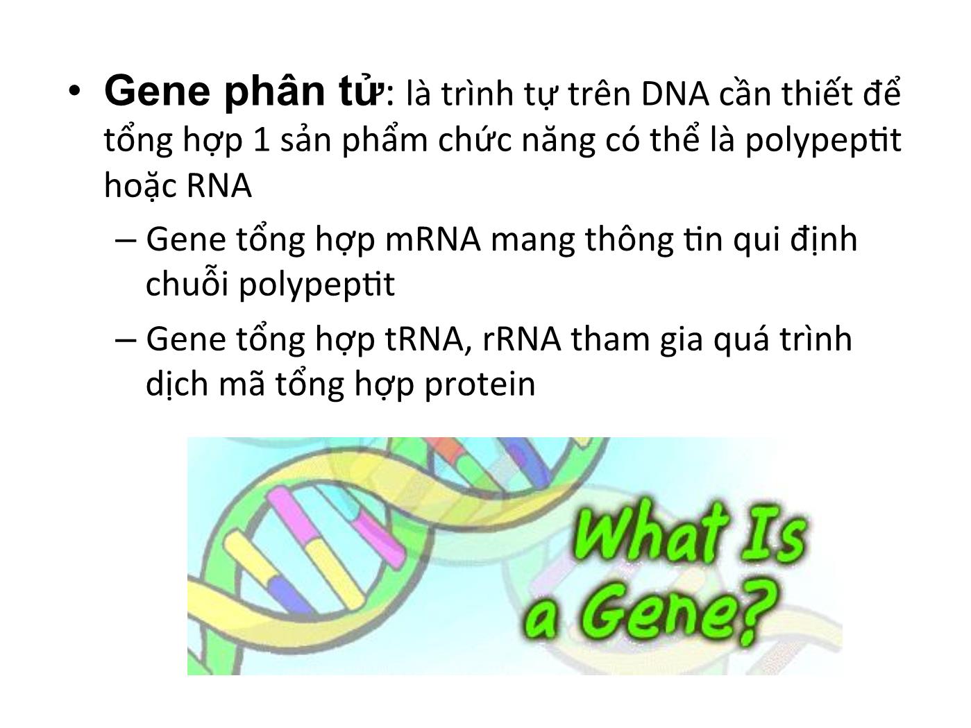 Bài giảng Sinh học phân tử - Chương 3: Gen và genome của sinh vật trang 6