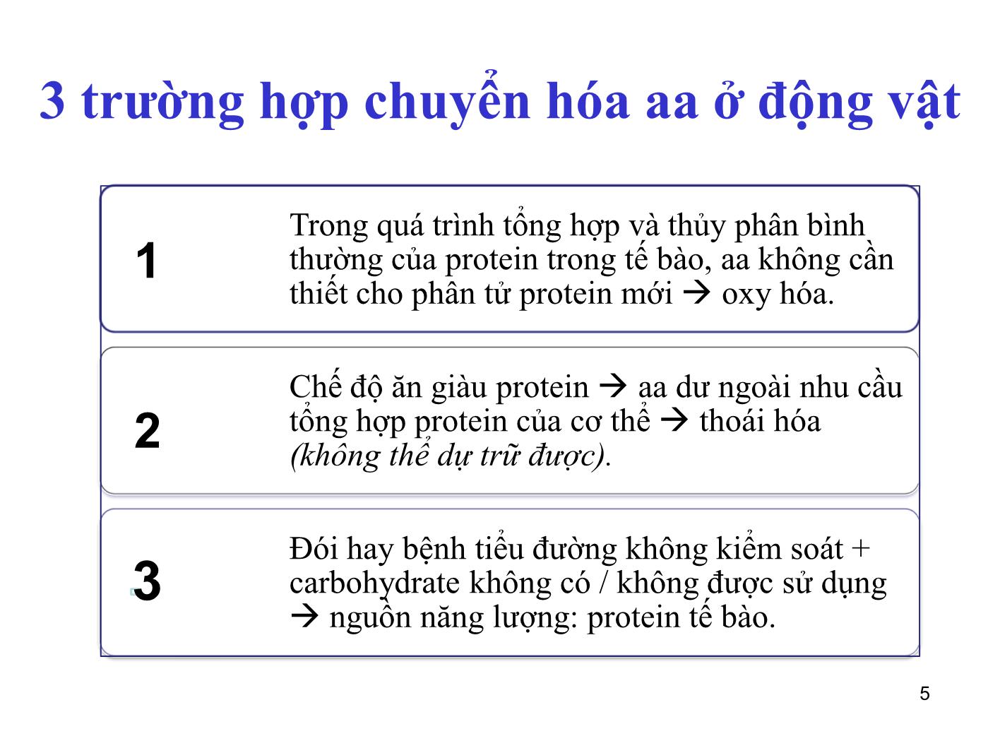 Bài giảng Sinh học phân tử - Bài: Sinh học phân tử (Phần 1) - Nguyễn Kim Thạch trang 5