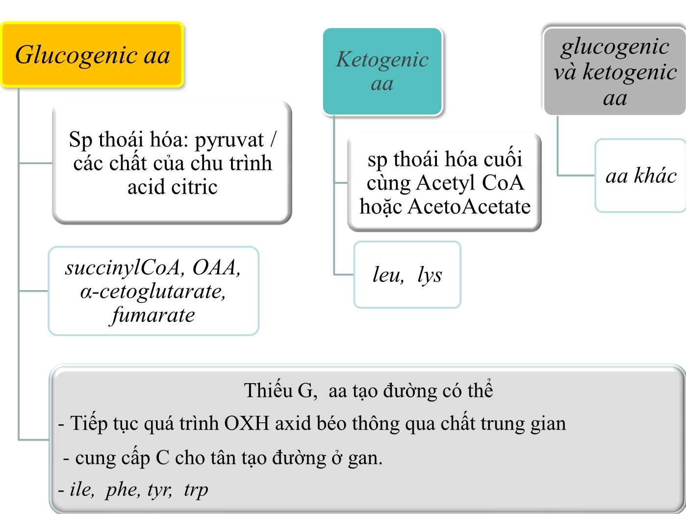 Bài giảng Sinh học phân tử - Bài: Sinh học phân tử (Phần 2) - Nguyễn Kim Thạch trang 6