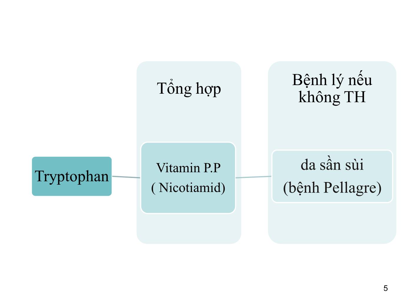 Bài giảng Sinh học phân tử - Bài: Sinh học phân tử (Phần 3) - Nguyễn Kim Thạch trang 5