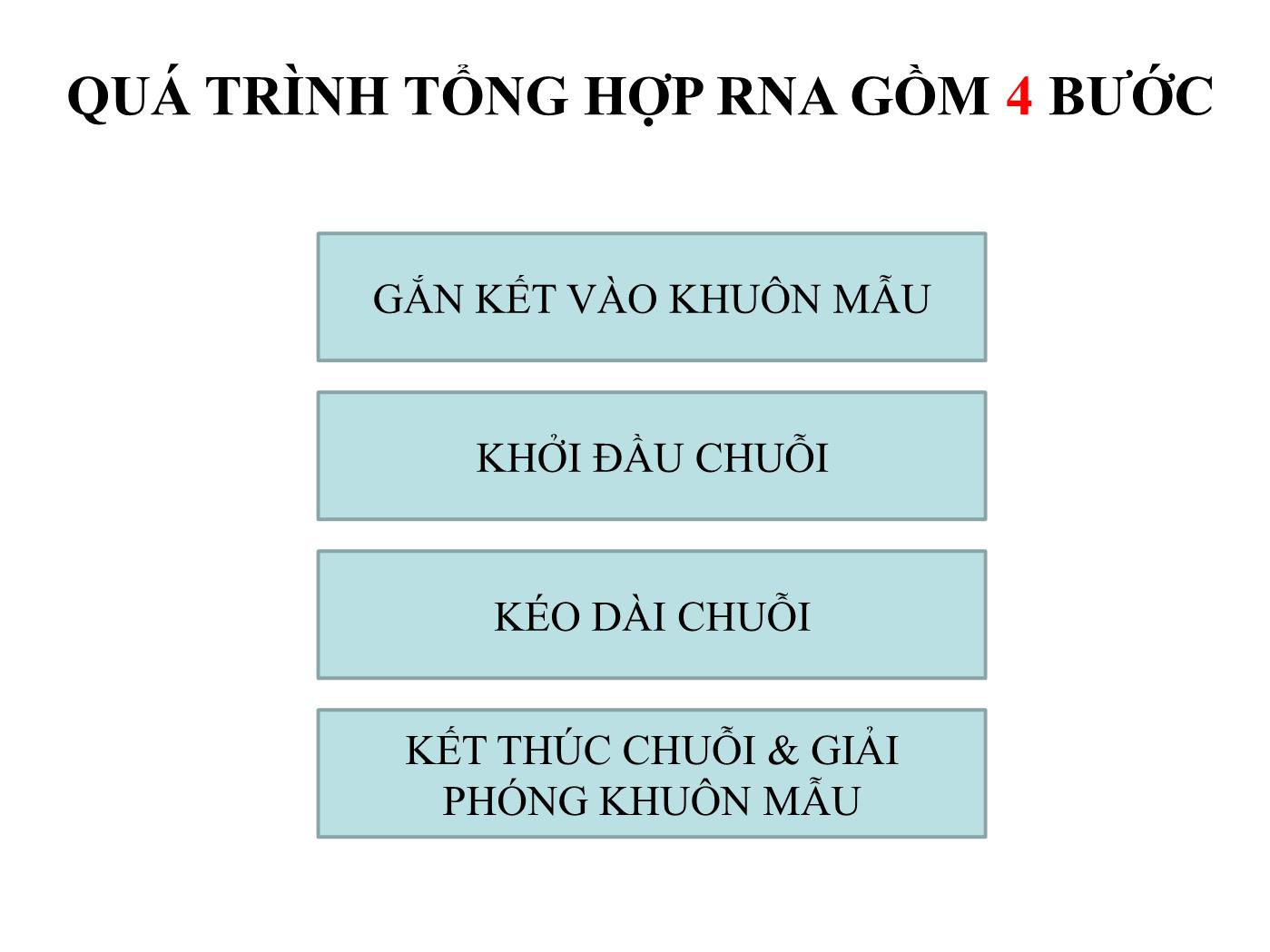 Bài giảng Sinh học phân tử - Bài: Sinh tổng hợp RNA (RNA Transcription) - Nguyễn Kim Thạch trang 6