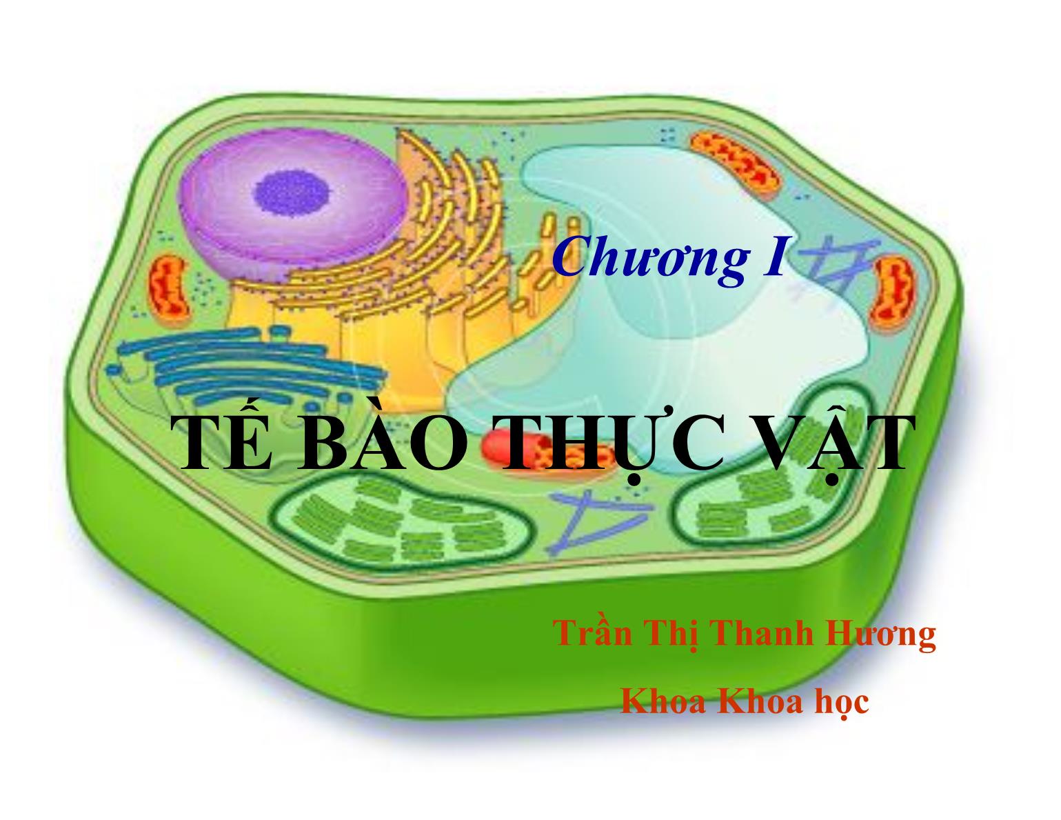 Bài giảng Thực vật học - Chương I: Tế bào thực vật - Trần Thị Thanh Hương trang 1