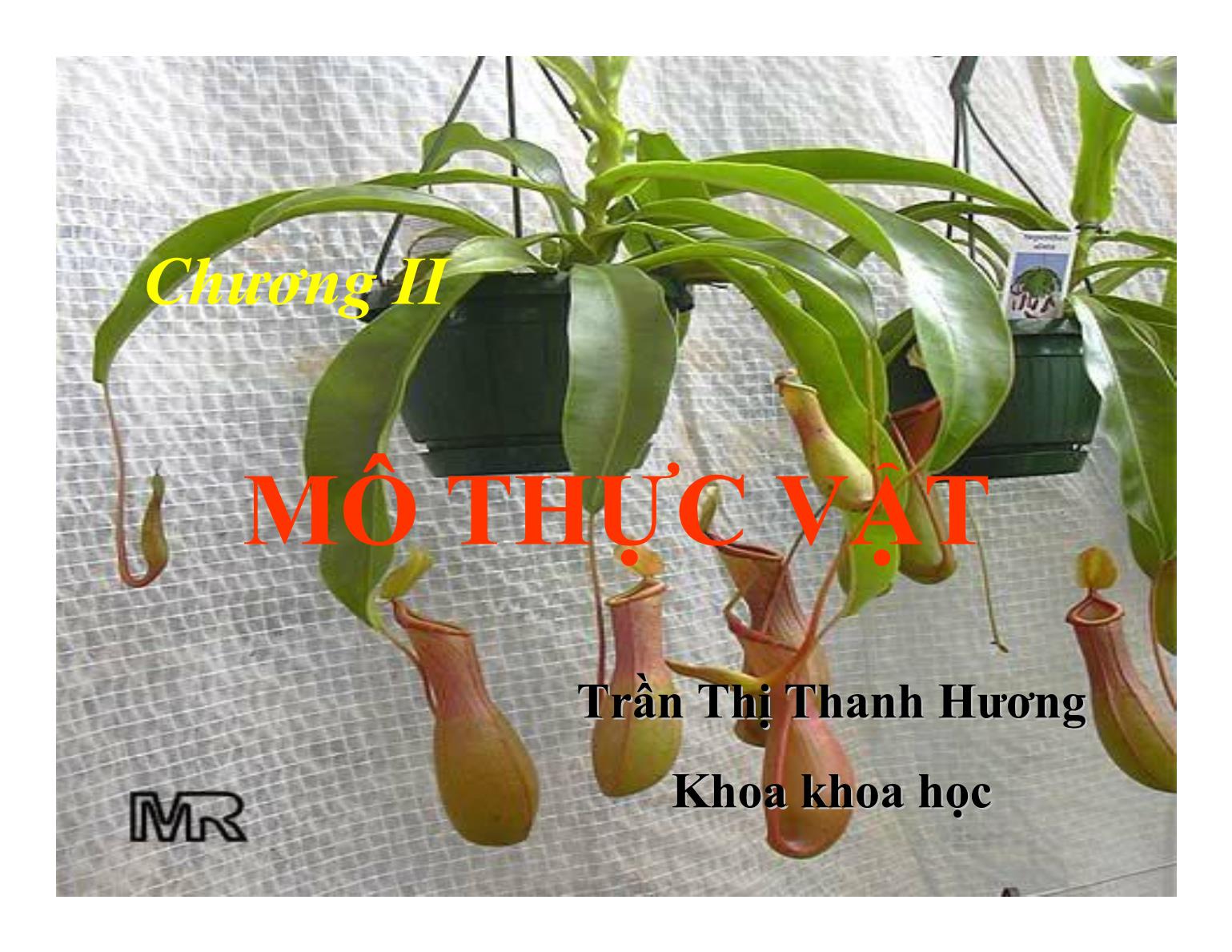 Bài giảng Thực vật học - Chương II: Mô thực vật - Trần Thị Thanh Hương trang 1