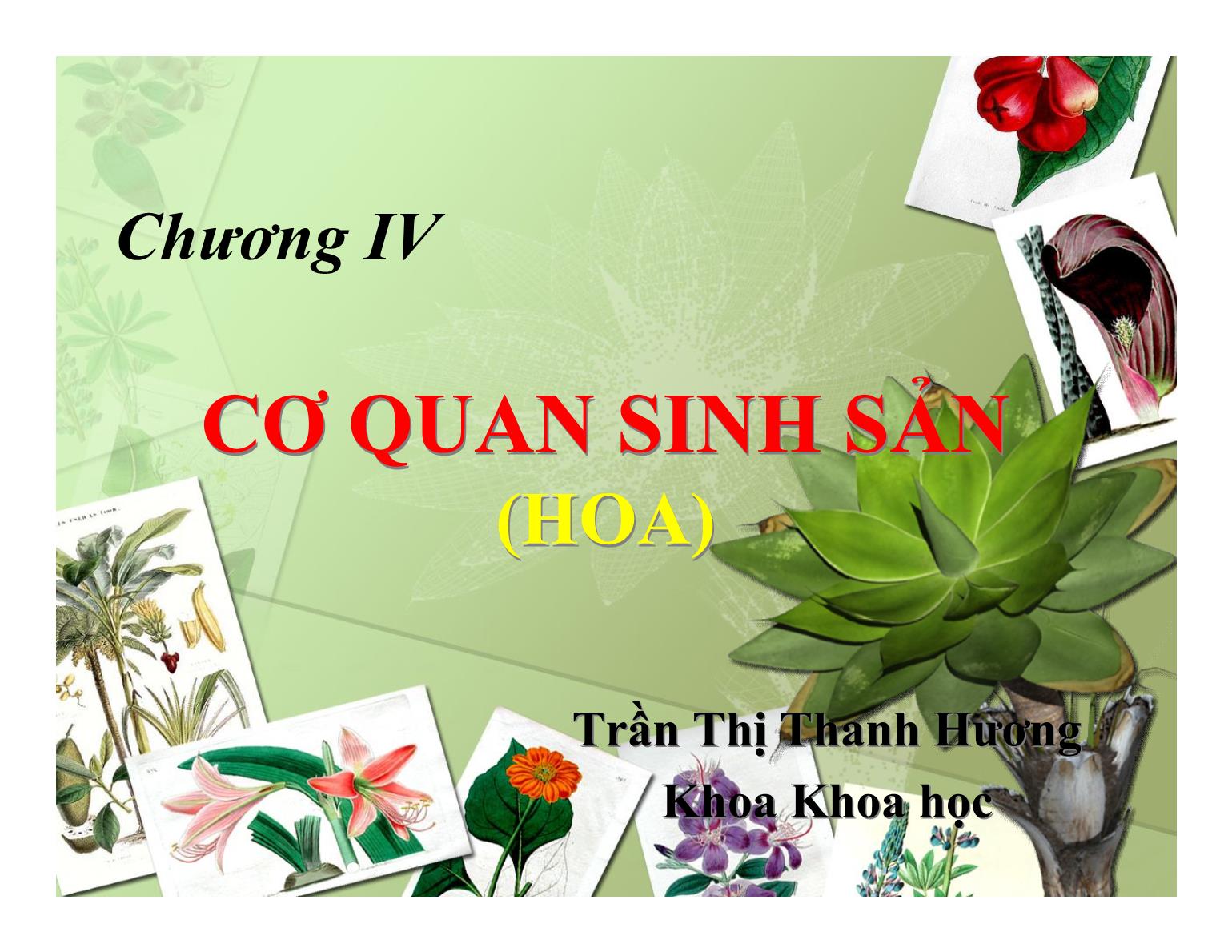 Bài giảng Thực vật học - Chương IV: Cơ quan sinh sản (Hoa) - Trần Thị Thanh Hương trang 1