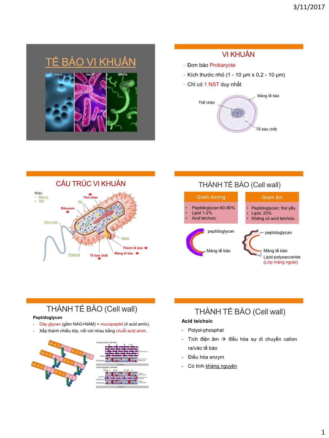 Bài giảng Vi sinh vật - Bài: Tế bào vi khuẩn trang 1