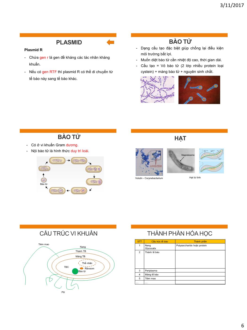 Bài giảng Vi sinh vật - Bài: Tế bào vi khuẩn trang 6