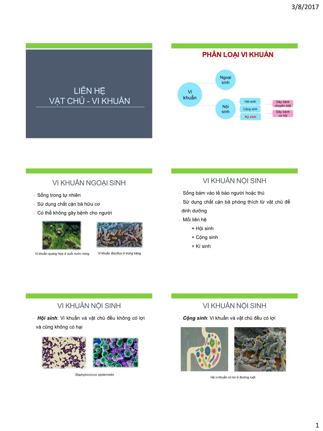 Bài giảng Vi sinh vật - Bài: Liên hệ vật chủ - Vi khuẩn trang 1