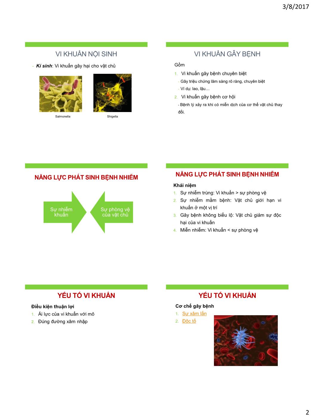 Bài giảng Vi sinh vật - Bài: Liên hệ vật chủ - Vi khuẩn trang 2