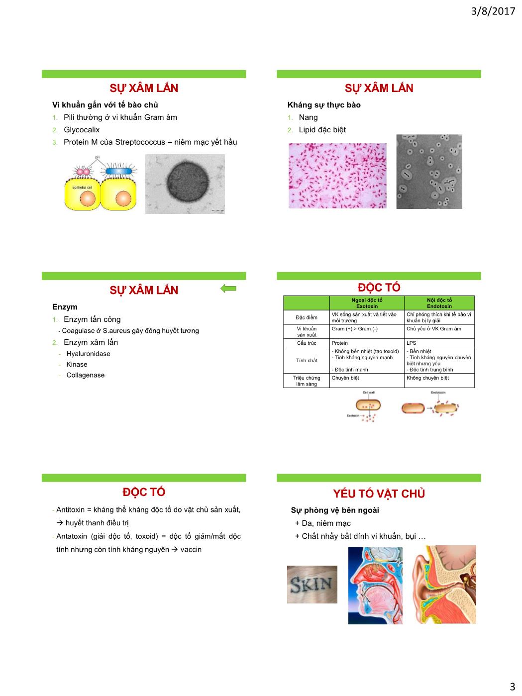 Bài giảng Vi sinh vật - Bài: Liên hệ vật chủ - Vi khuẩn trang 3