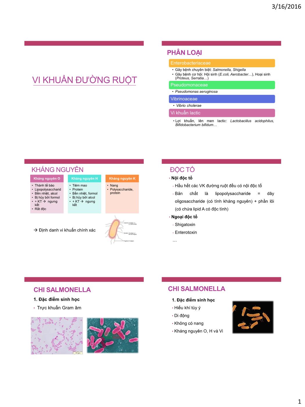 Bài giảng Vi sinh vật - Bài: Vi khuẩn đường ruột trang 1