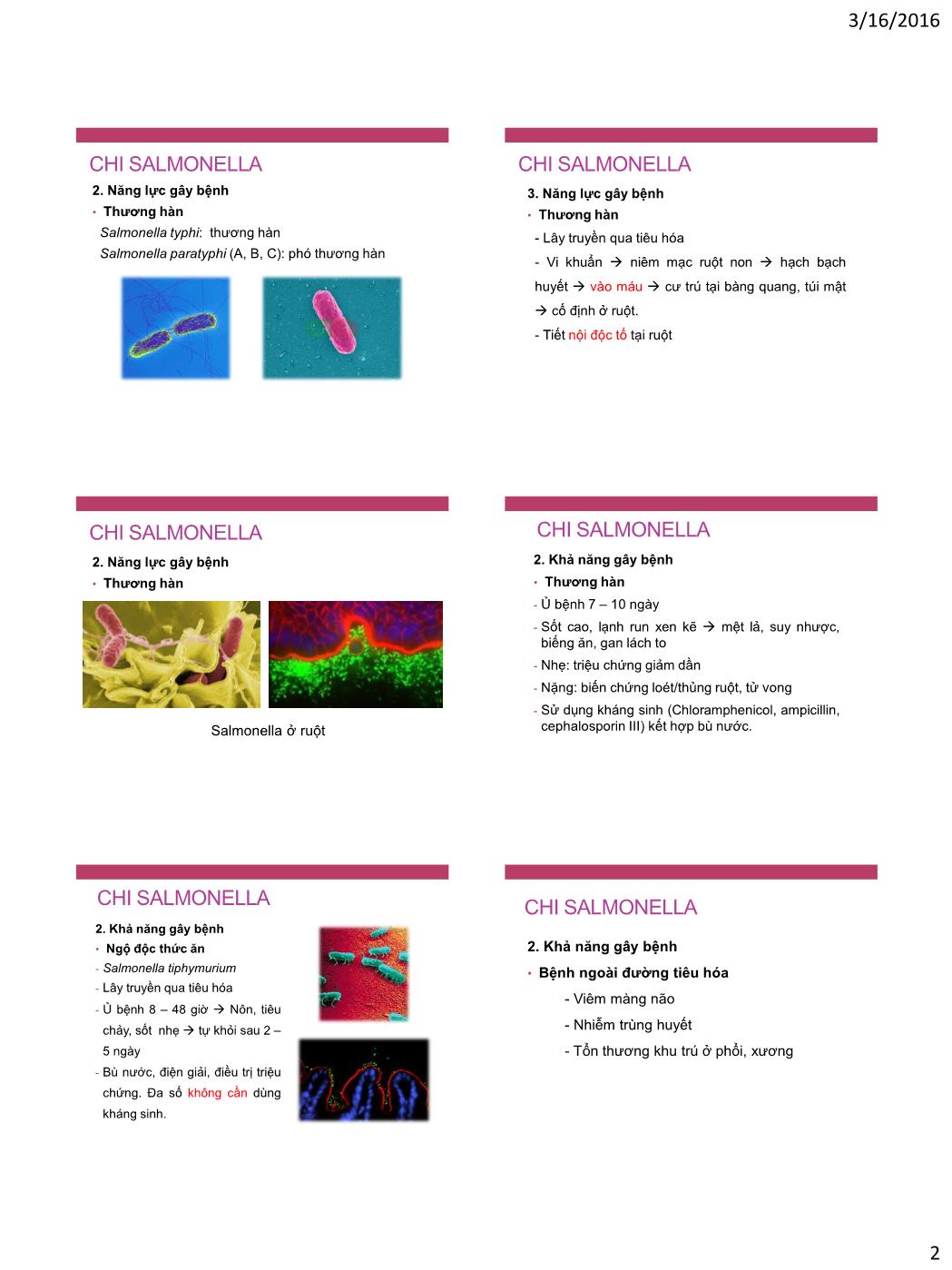 Bài giảng Vi sinh vật - Bài: Vi khuẩn đường ruột trang 2