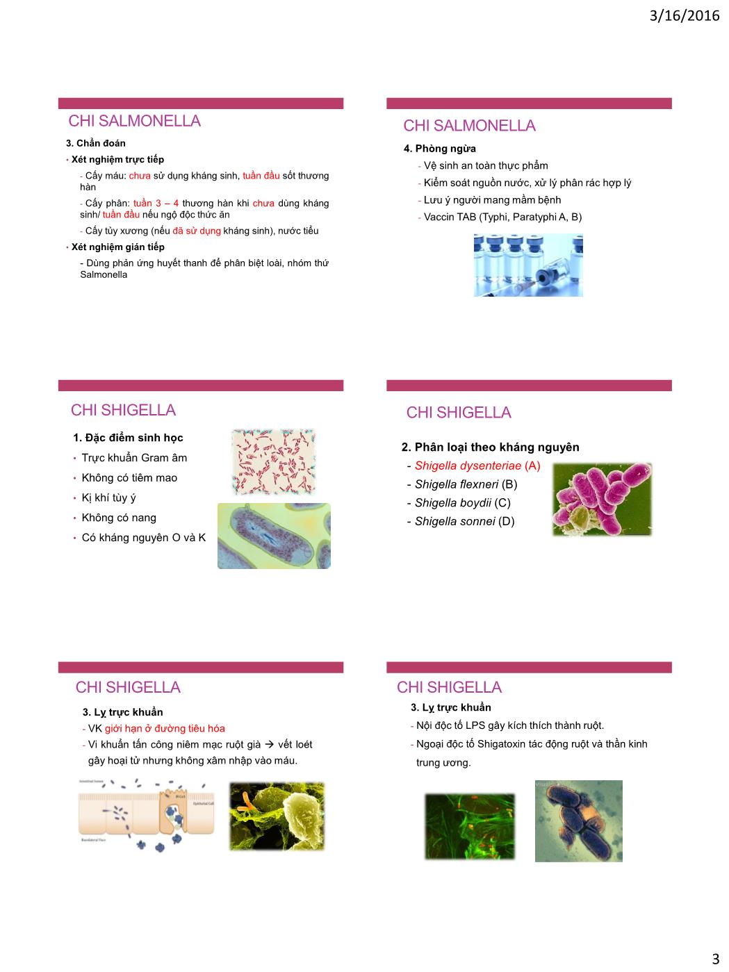 Bài giảng Vi sinh vật - Bài: Vi khuẩn đường ruột trang 3