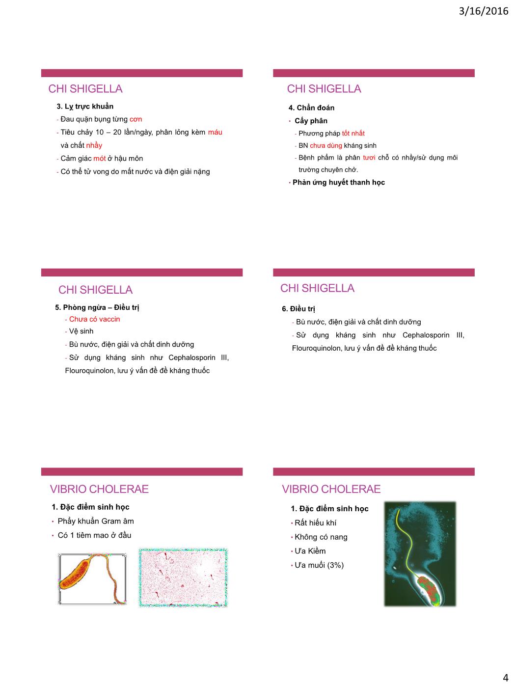 Bài giảng Vi sinh vật - Bài: Vi khuẩn đường ruột trang 4