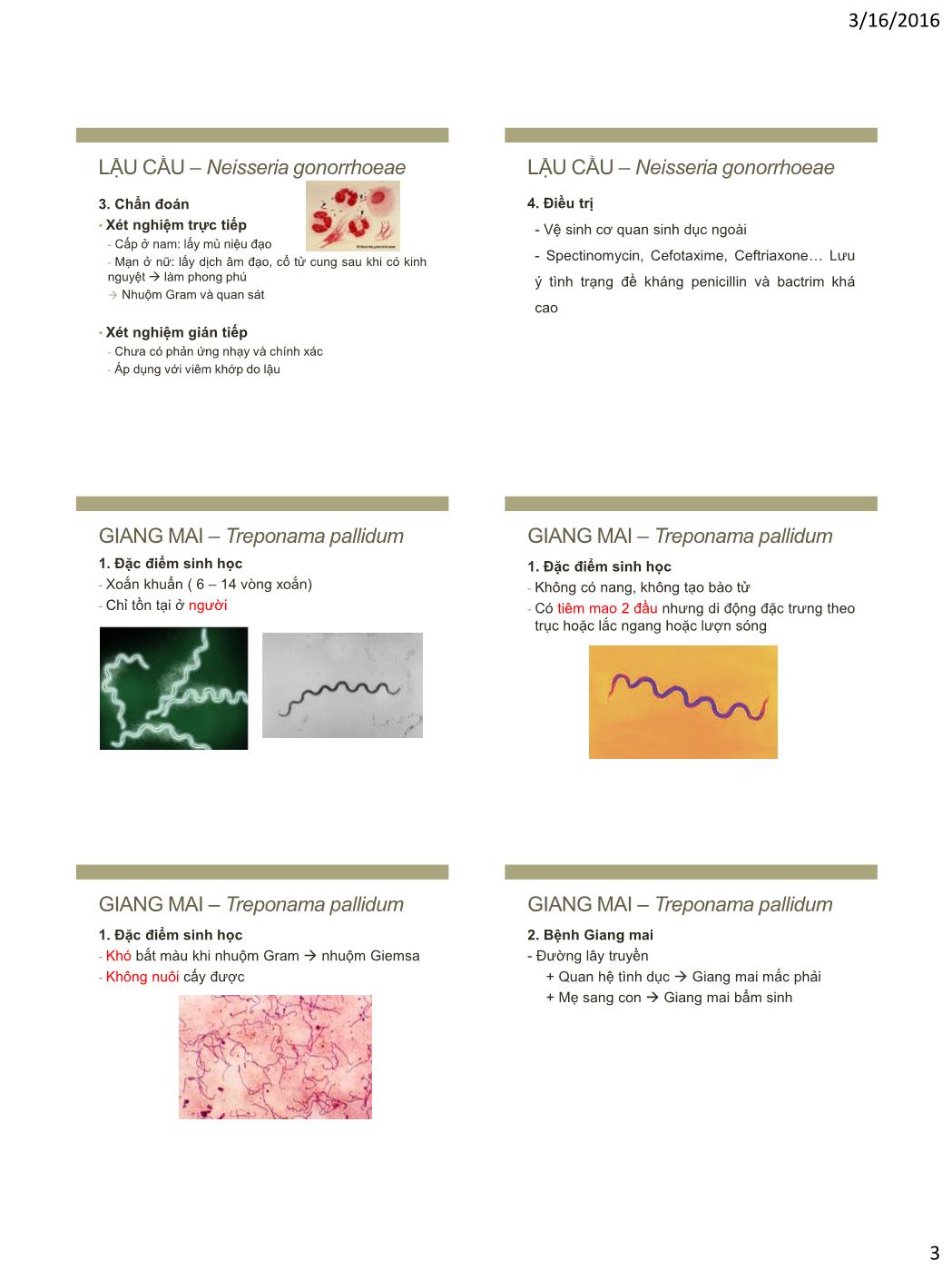 Bài giảng Vi sinh vật - Bài: Vi khuẩn gây bệnh đường sinh dục trang 3