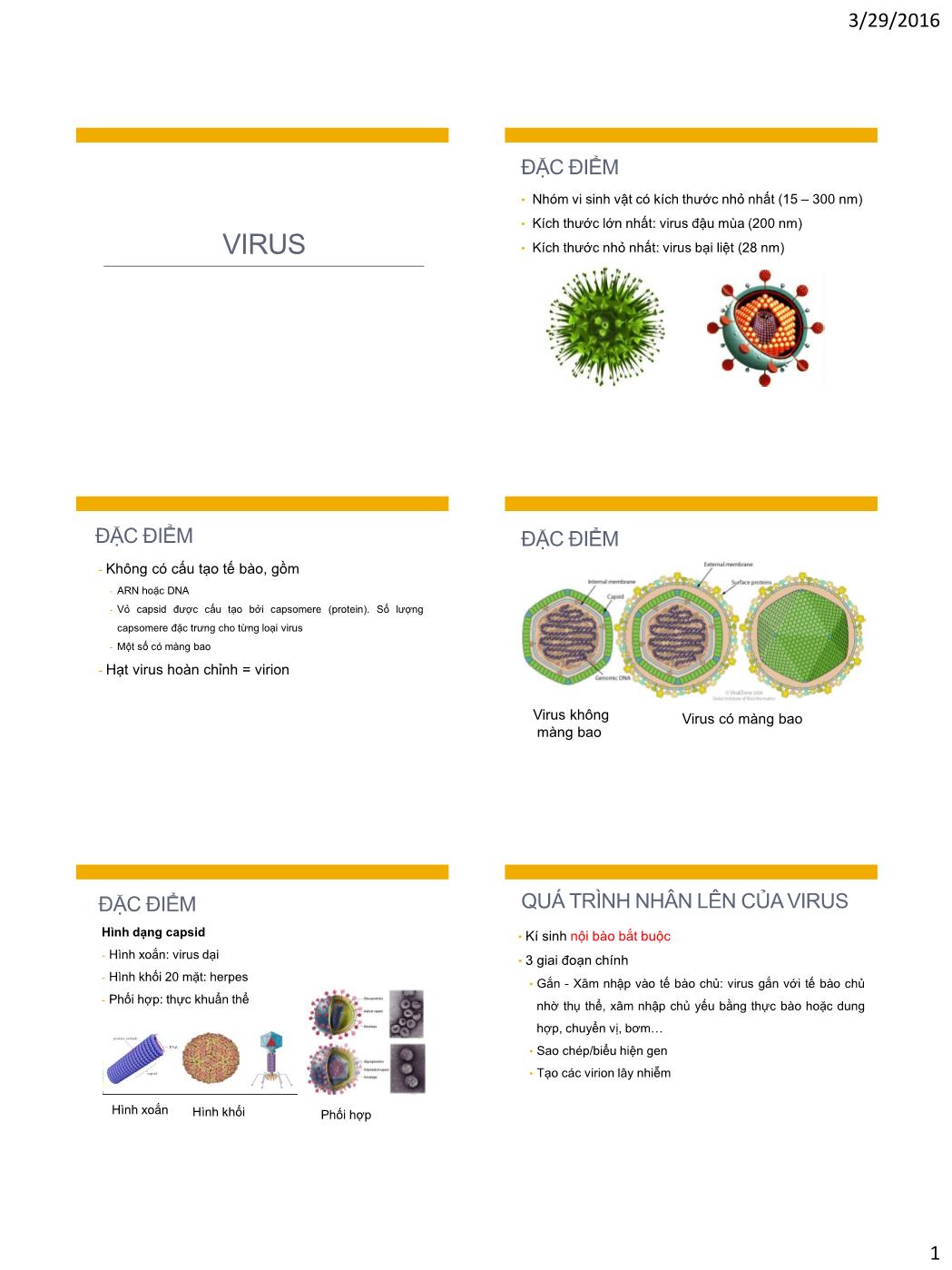 Bài giảng Vi sinh vật - Bài: Virus trang 1