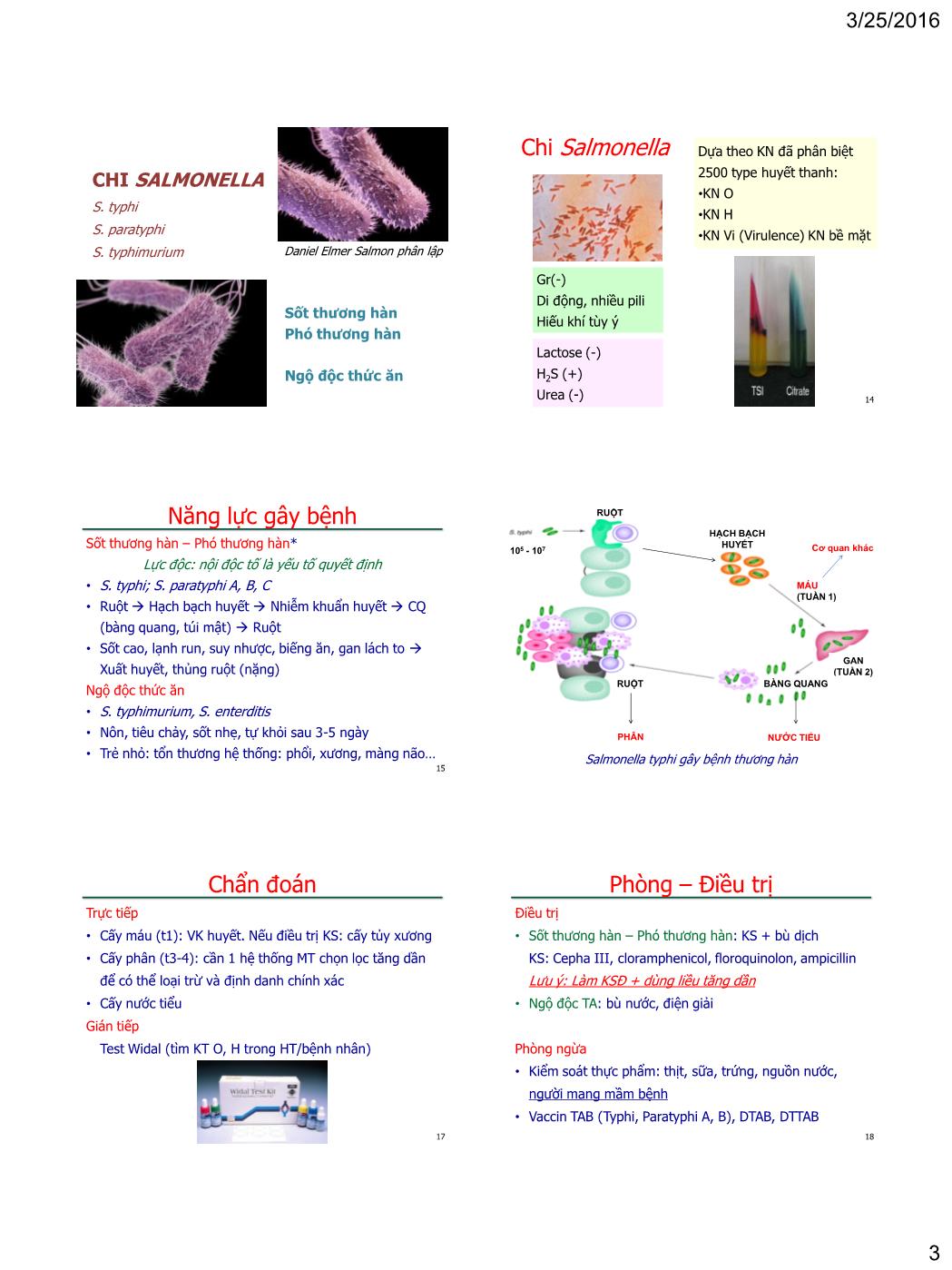 Bài giảng Vi sinh vật - Bài: Vi khuẩn gây bệnh - Nguyễn Thị Ngọc Yến trang 3