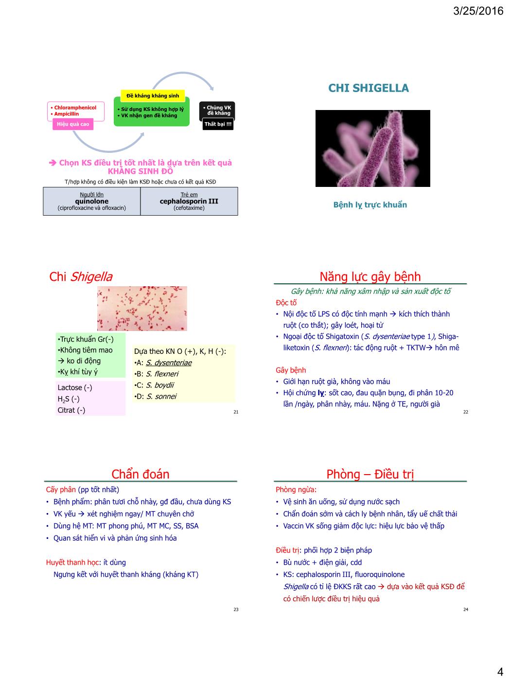 Bài giảng Vi sinh vật - Bài: Vi khuẩn gây bệnh - Nguyễn Thị Ngọc Yến trang 4