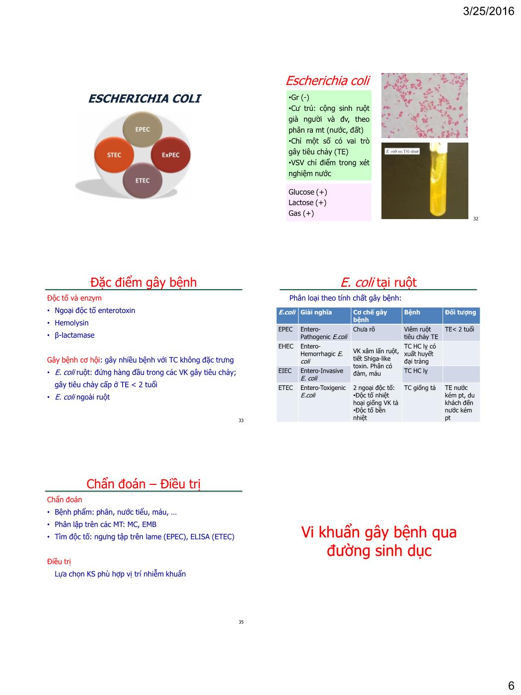 Bài giảng Vi sinh vật - Bài: Vi khuẩn gây bệnh - Nguyễn Thị Ngọc Yến trang 6