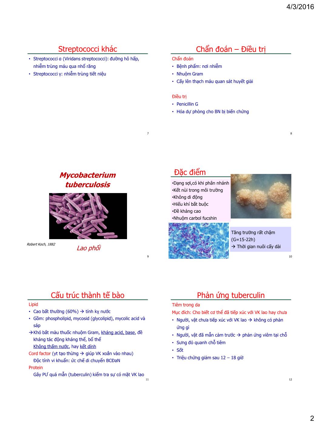 Bài giảng Vi sinh vật - Bài: Vi khuẩn gây bệnh qua đường không khí - Nguyễn Thị Ngọc Yến trang 2