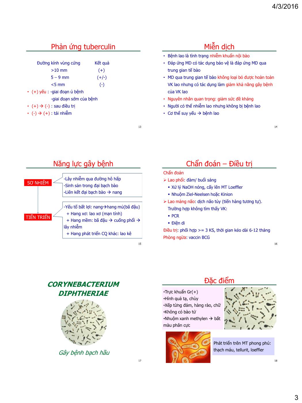 Bài giảng Vi sinh vật - Bài: Vi khuẩn gây bệnh qua đường không khí - Nguyễn Thị Ngọc Yến trang 3