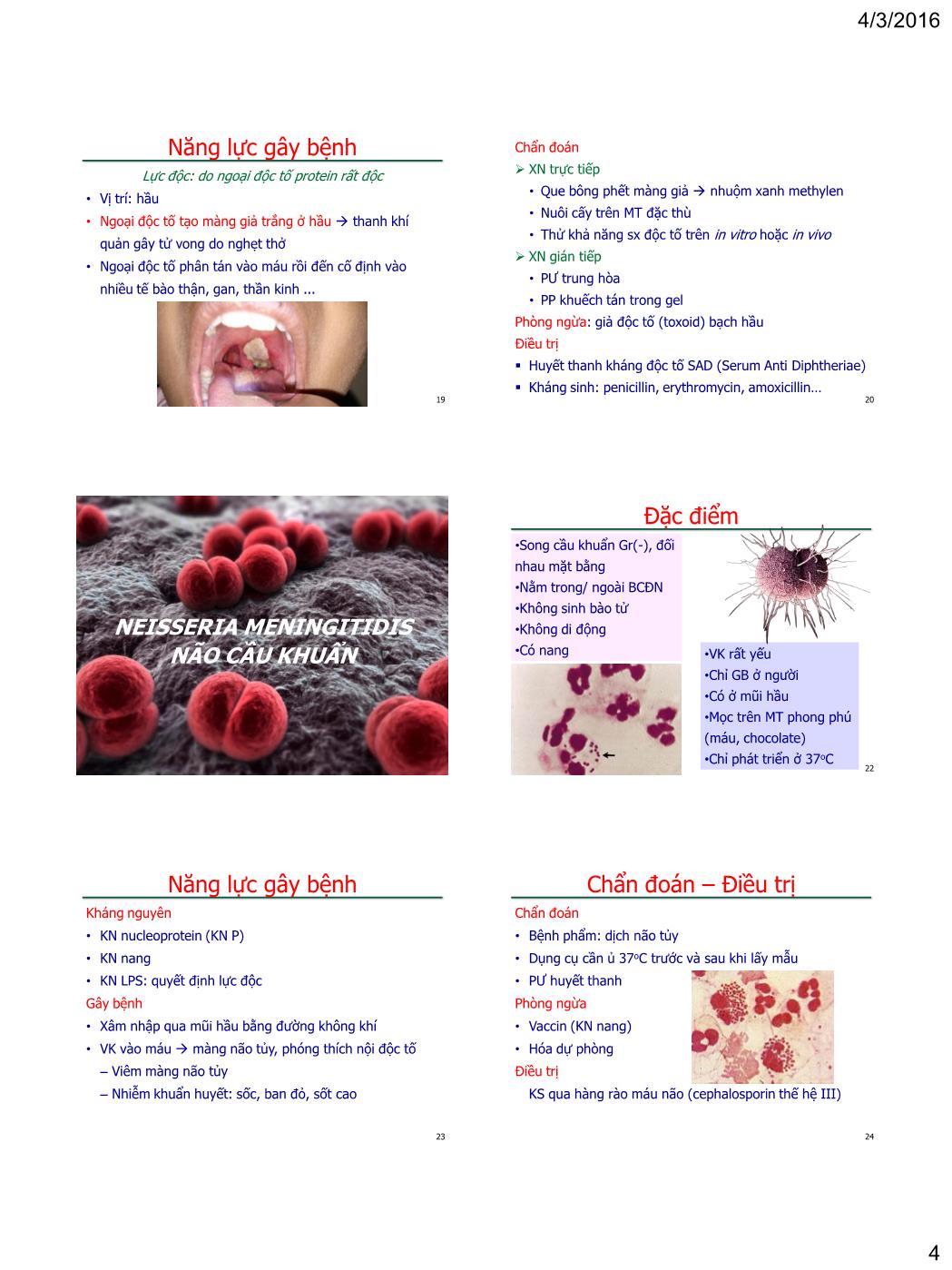 Bài giảng Vi sinh vật - Bài: Vi khuẩn gây bệnh qua đường không khí - Nguyễn Thị Ngọc Yến trang 4
