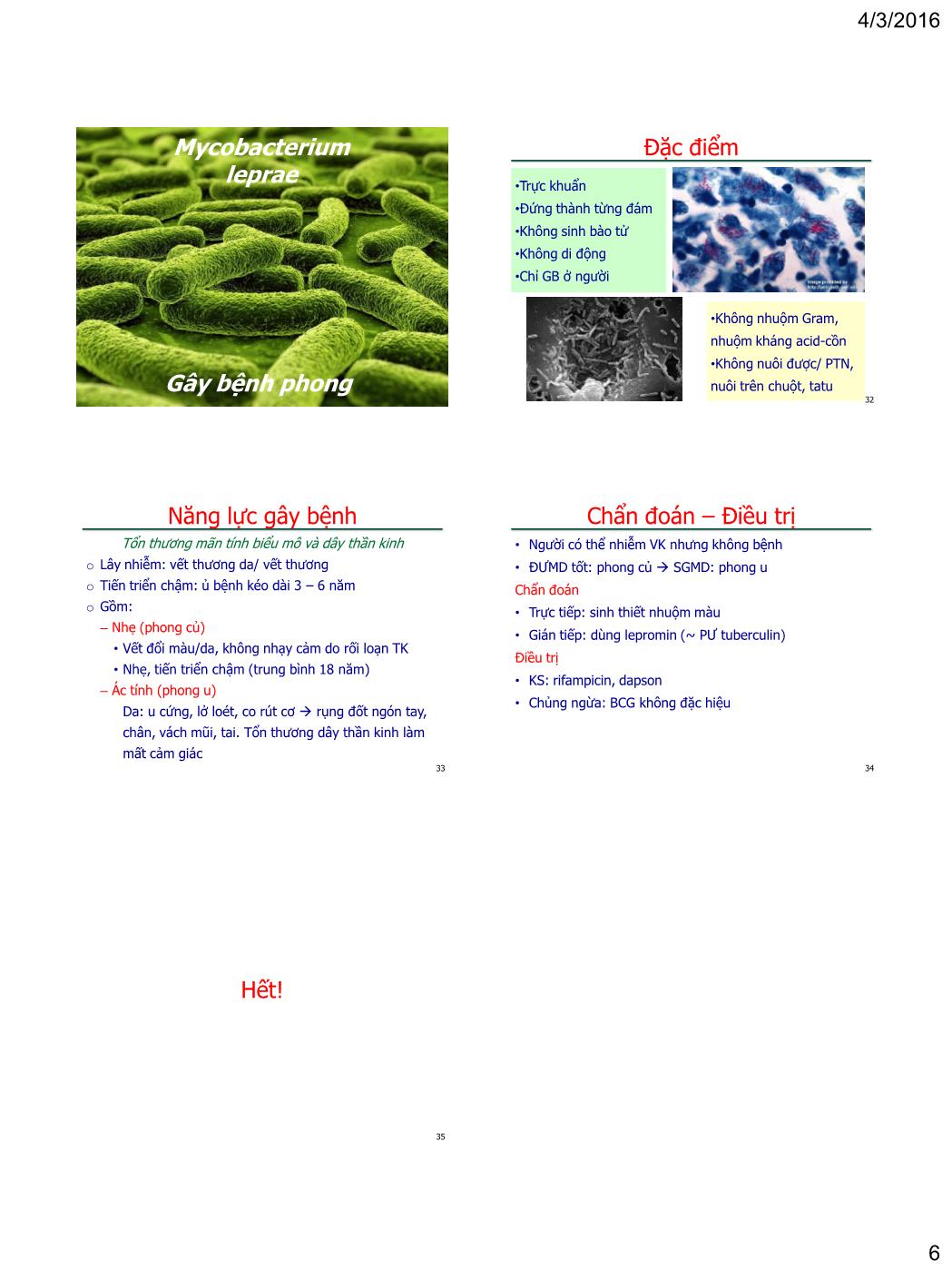 Bài giảng Vi sinh vật - Bài: Vi khuẩn gây bệnh qua đường không khí - Nguyễn Thị Ngọc Yến trang 6