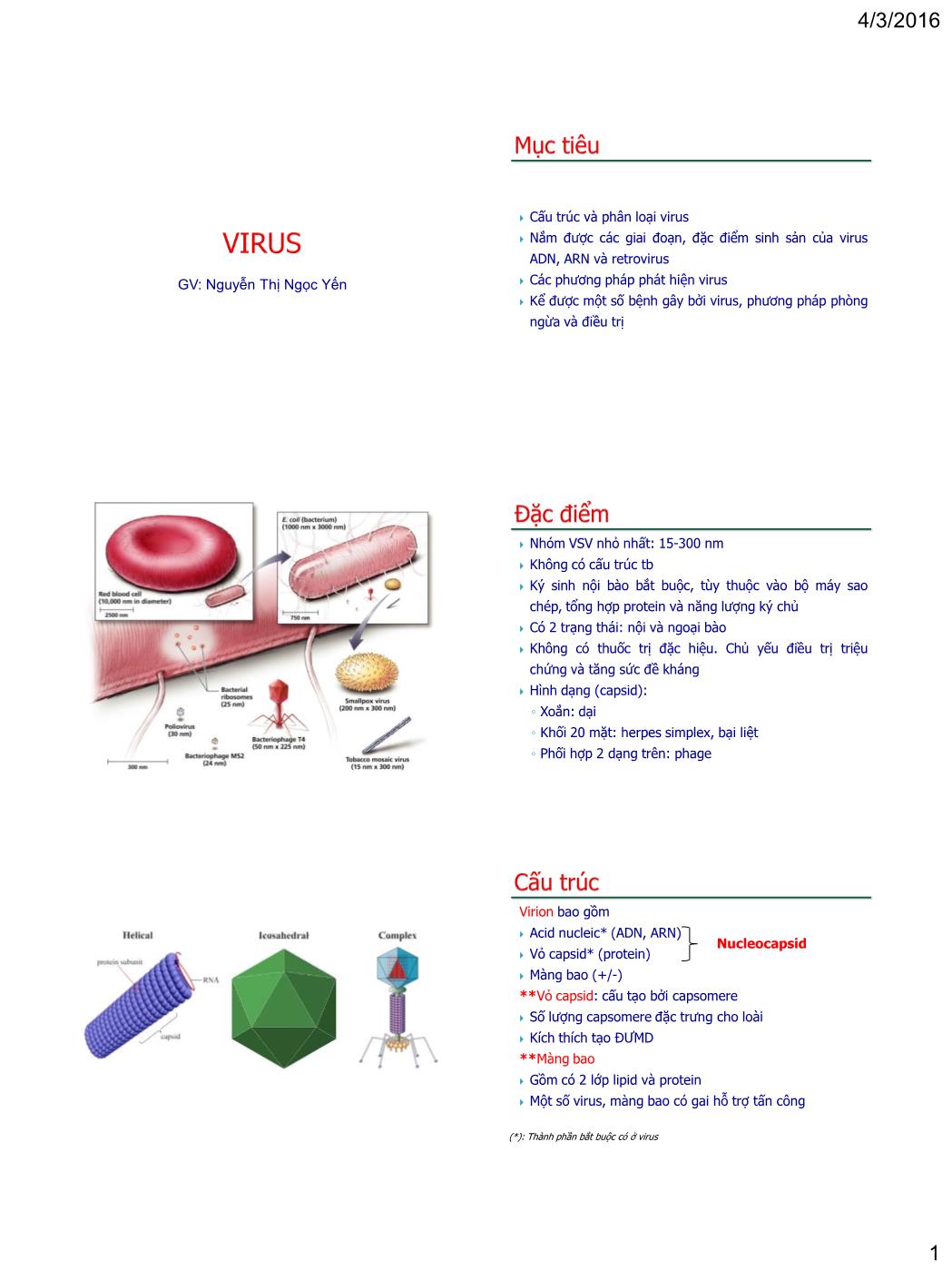 Bài giảng Vi sinh vật - Bài: Virus - Nguyễn Thị Ngọc Yến trang 1