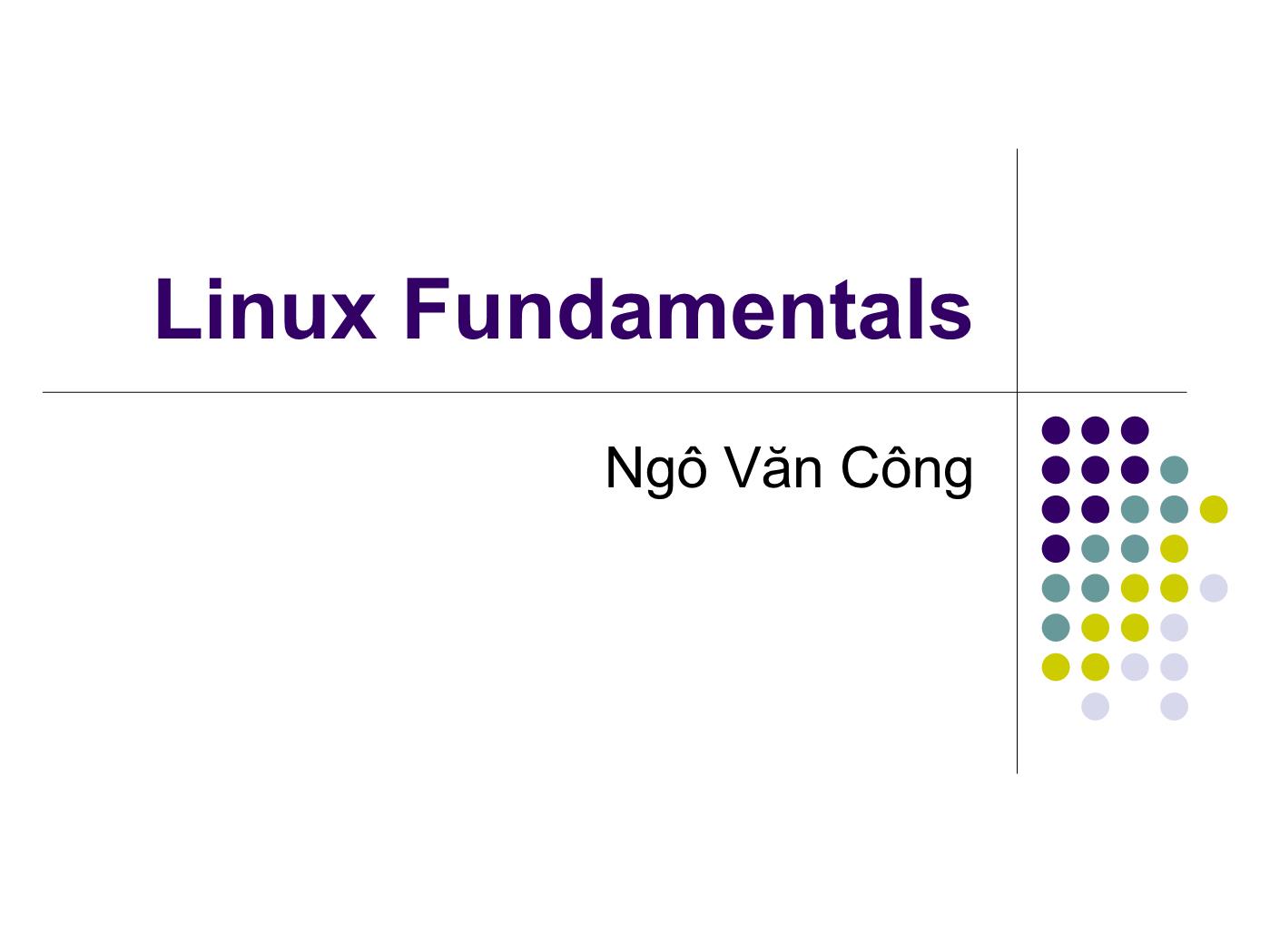Bài giảng Hệ điều hành Linux - Bài: Linux Fundamentals - Ngô Văn Công trang 1