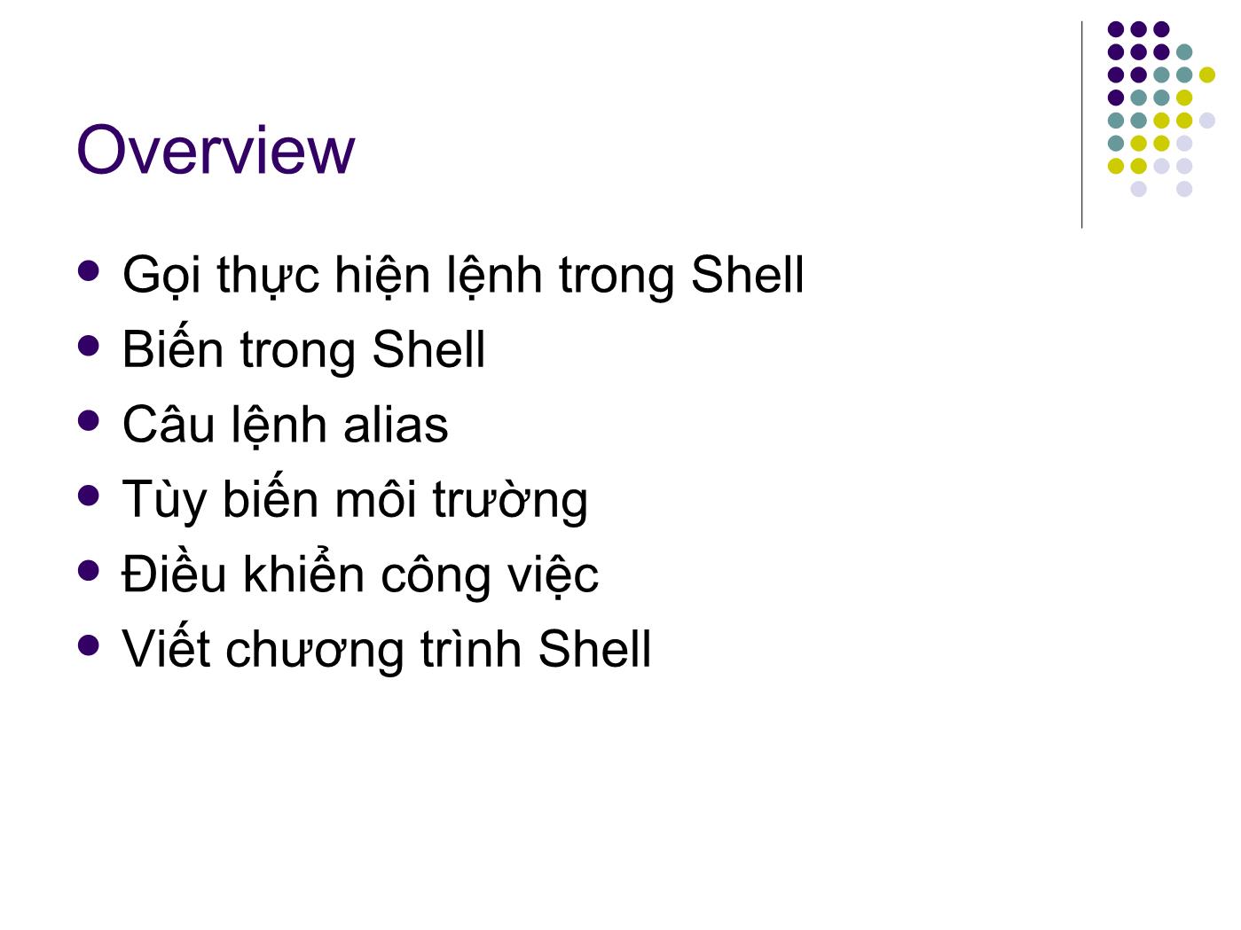 Bài giảng Hệ điều hành Linux - Bài: Lập trình shell - Ngô Văn Công trang 2