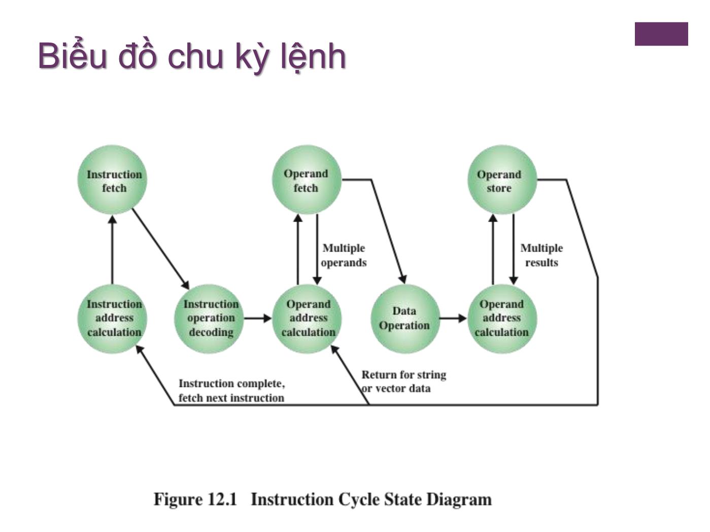 Bài giảng Kiến trúc máy tính - Chương 10: Tập lệnh: Đặc điểm và chức năng trang 5