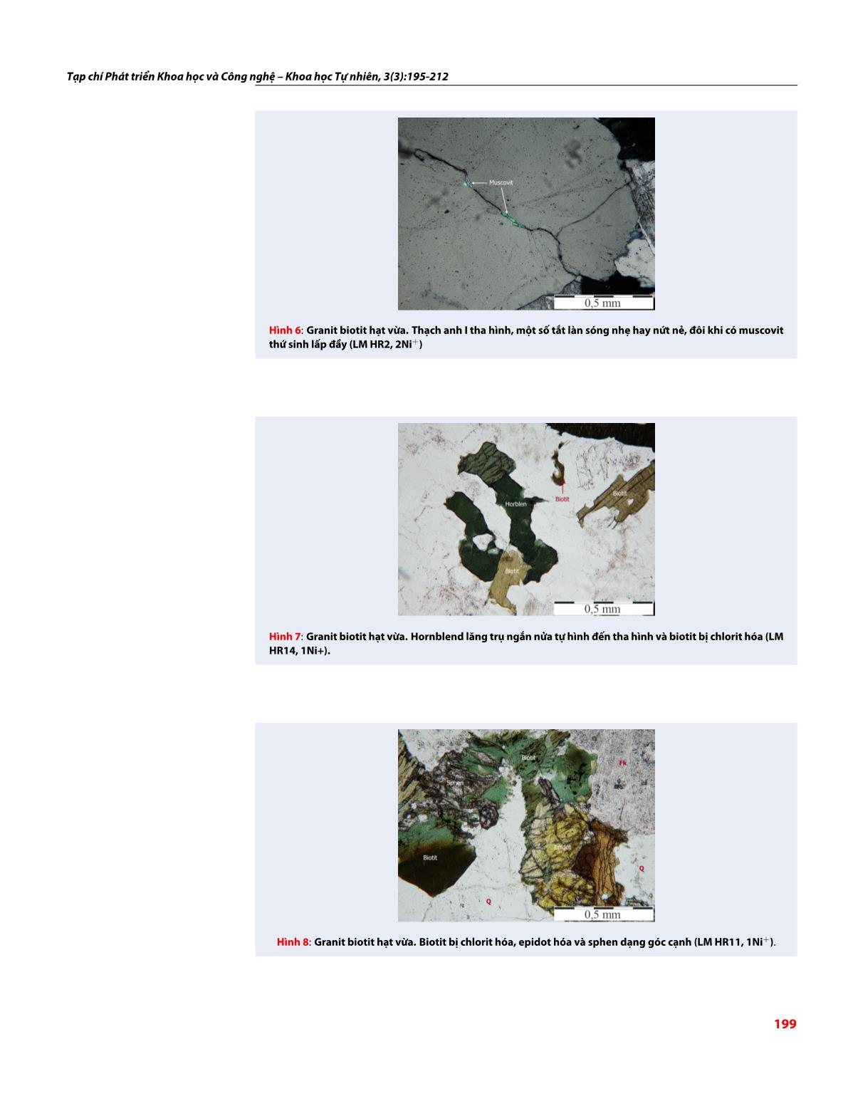 Đặc điểm thạch học, thạch địa hóa Granitoid khối Hòn Rồng, Cam Ranh, Khánh Hòa trang 5
