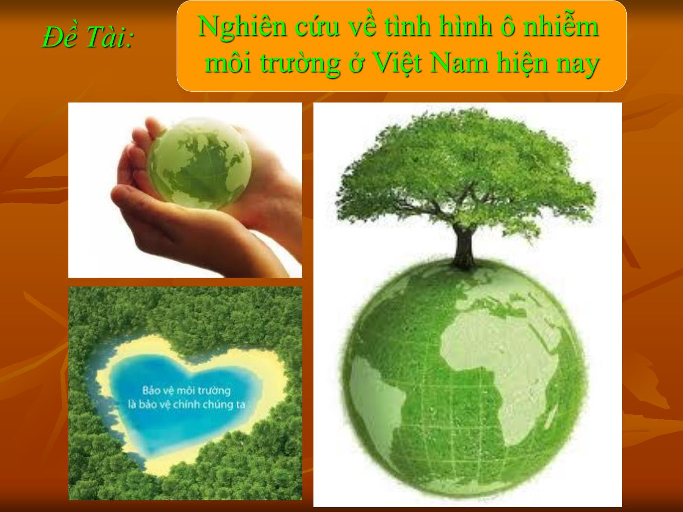 Đề tài Nghiên cứu về tình hình ô nhiễm môi trường ở Việt Nam hiện nay trang 2