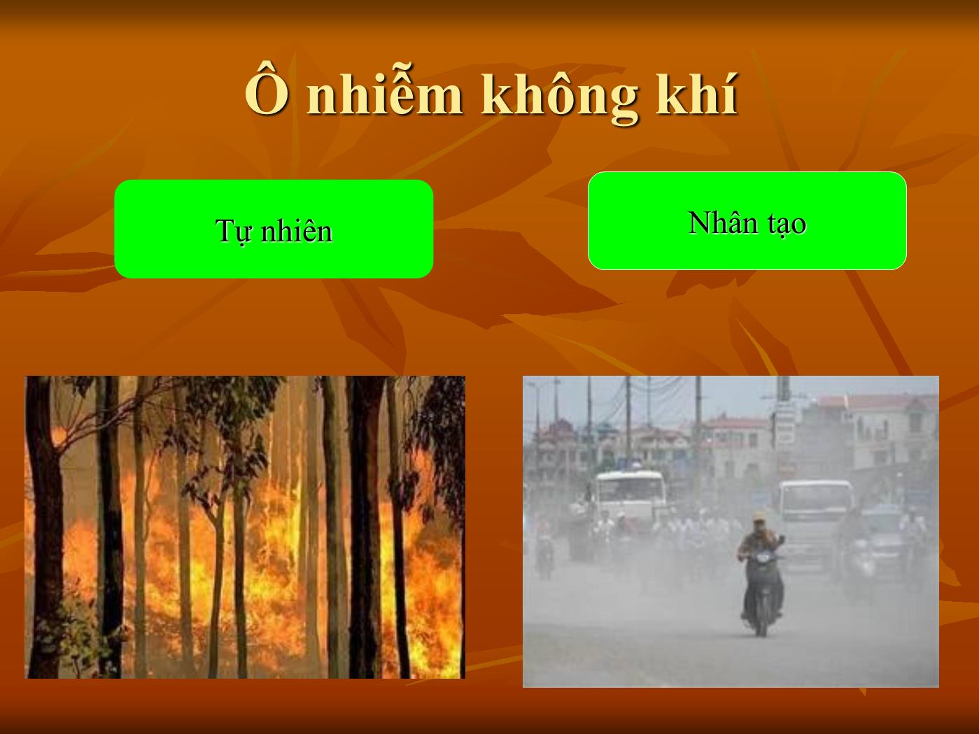 Đề tài Nghiên cứu về tình hình ô nhiễm môi trường ở Việt Nam hiện nay trang 9