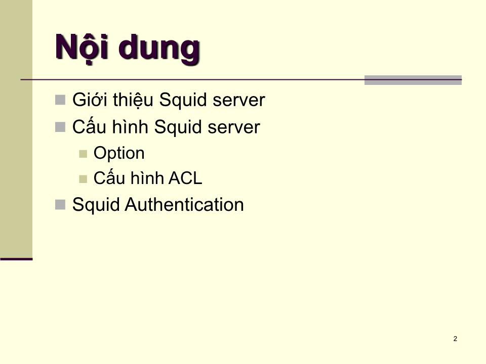 Bài giảng Dịch vụ mạng linux - Chương 7: Squid server - Phạm Mạnh Cương trang 2