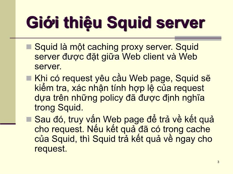 Bài giảng Dịch vụ mạng linux - Chương 7: Squid server - Phạm Mạnh Cương trang 3