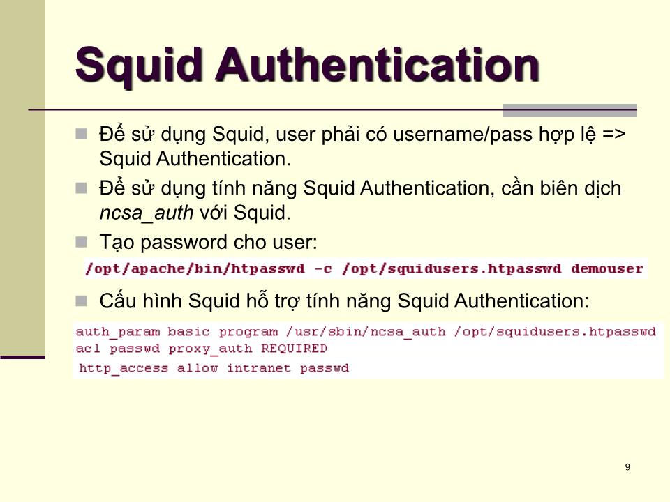 Bài giảng Dịch vụ mạng linux - Chương 7: Squid server - Phạm Mạnh Cương trang 9