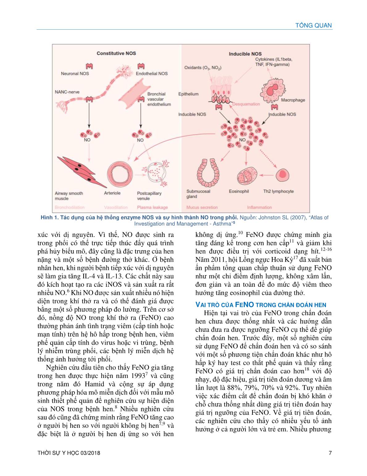 Vai trò của Nitric Oxide trong hơi thở ra (FeNO) trong quản lý hen trang 3