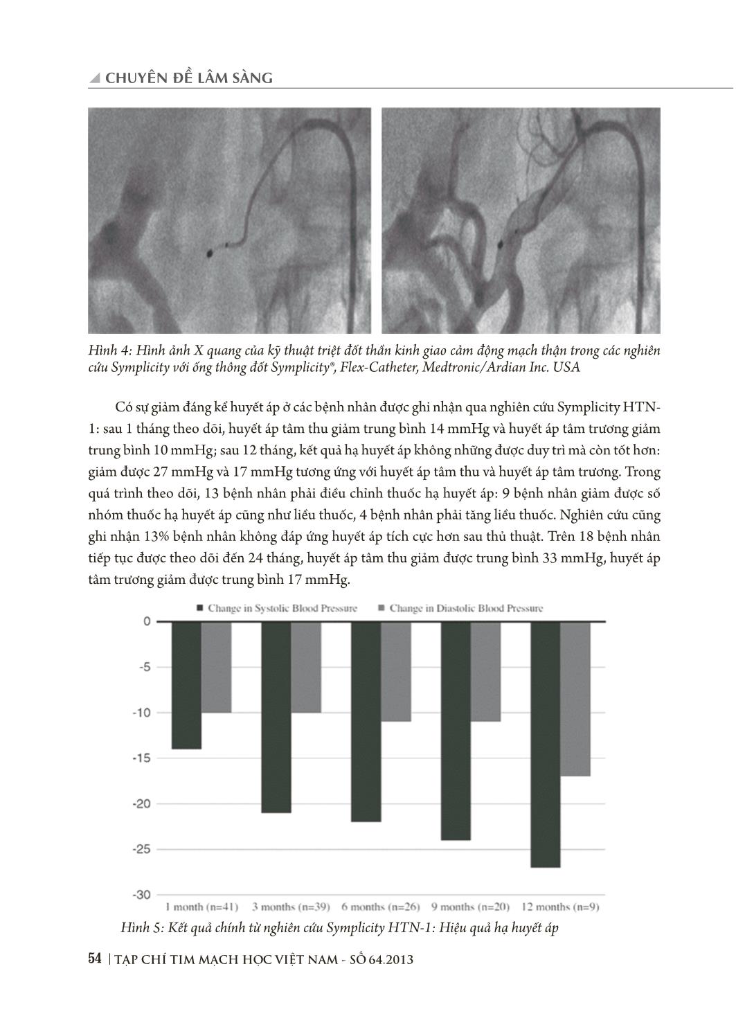 Hiệu quả hạ huyết áp của kỹ thuật triệt đốt thần kinh giao cảm động mạch thận bằng năng lượng sóng có tần số radio qua đường ống thông trong điều trị tăng huyết áp kháng trị trang 5