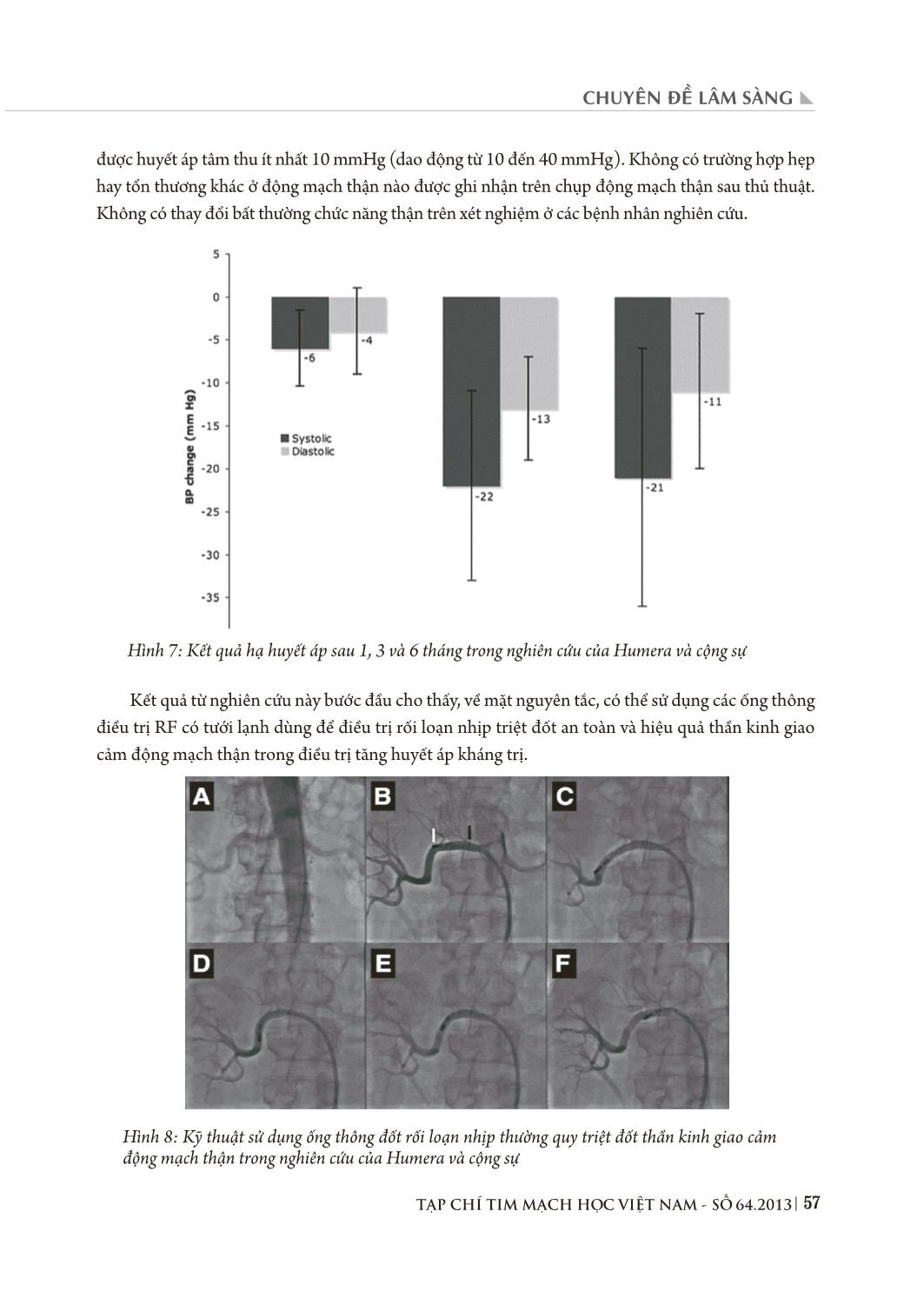 Hiệu quả hạ huyết áp của kỹ thuật triệt đốt thần kinh giao cảm động mạch thận bằng năng lượng sóng có tần số radio qua đường ống thông trong điều trị tăng huyết áp kháng trị trang 8