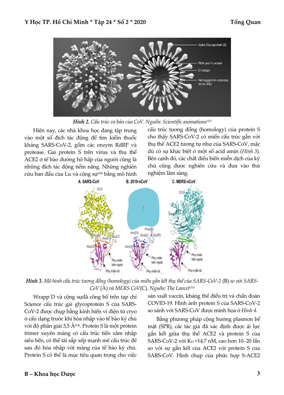 SARS-CoV-2 gây bệnh viêm đường hô hấp cấp: Cấu trúc và các thuốc điều trị tiềm năng trang 3